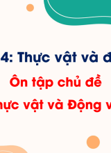 Chủ đề 4 - Ôn tập chủ đề Thực vật và động vật